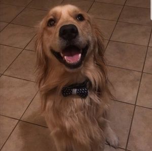 Meet your Posher, Victoria